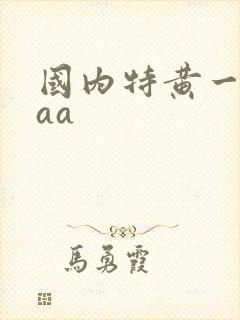 国内特黄一级aaa