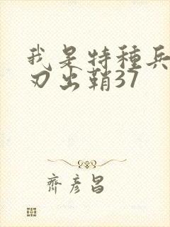 我是特种兵之利刃出鞘37
