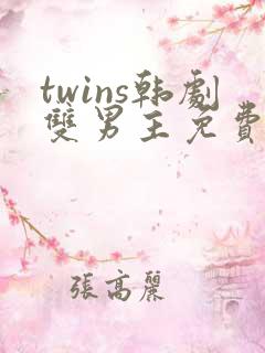 twins韩剧双男主免费观看