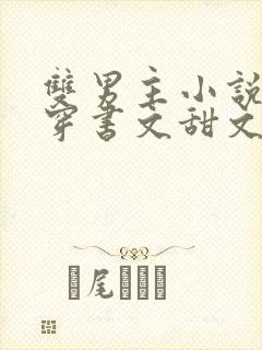 双男主小说推荐穿书文甜文