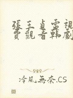 张玉贞电视剧免费观看韩剧网