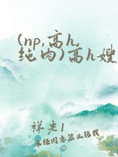(np,高h,纯肉)高h嫂子