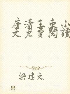 唐潇王东小说全文免费阅读