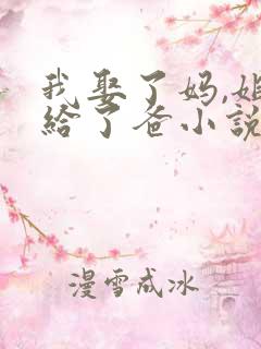 我娶了妈,姐嫁给了爸小说