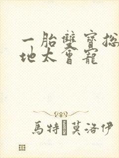 一胎双宝总裁爹地太会宠