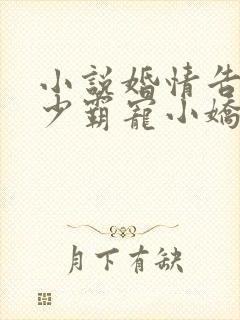 小说婚情告急顾少霸宠小娇妻