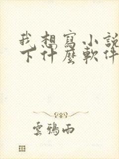 我想写小说应该下什么软件