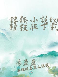 银狐小说txt精校版下载