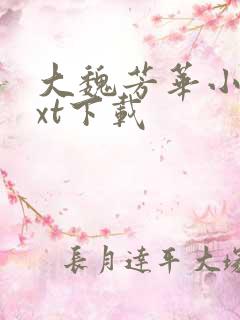 大魏芳华小说txt下载