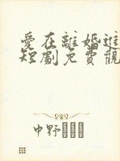 爱在离婚进行时短剧免费观看全集