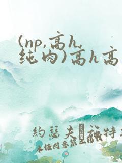 (np,高h,纯肉)高h高辣文