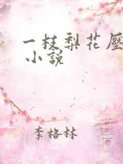 一枝梨花压海棠 小说