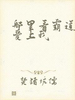 哪里看霸道总裁爱上我