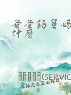 爸爸的舅妈我叫什么