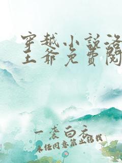 穿越小说洛蓝钰王爷免费阅读