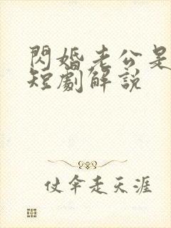 闪婚老公是总裁短剧解说
