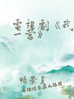 电视剧《我的特一营》