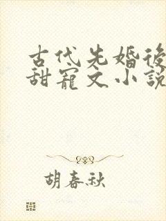 古代先婚后爱的甜宠文小说