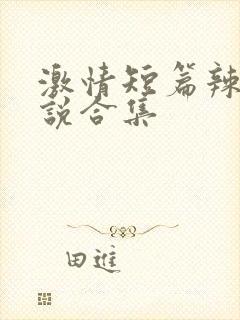 激情短篇辣文小说合集