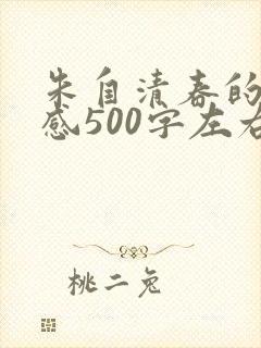 朱自清春的读后感500字左右