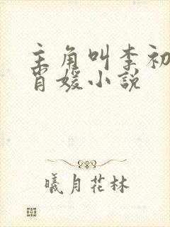 主角叫李初年童肖媛小说
