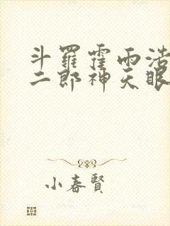 斗罗霍雨浩拥有二郎神天眼