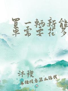 买一辆新能源汽车需要花多少钱