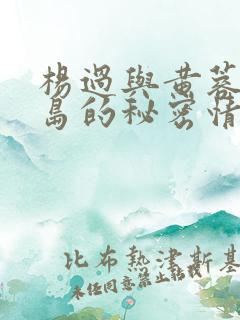 杨过与黄蓉之荒岛的秘密情缘