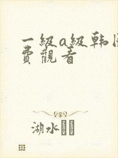 一级a级韩国免费观看