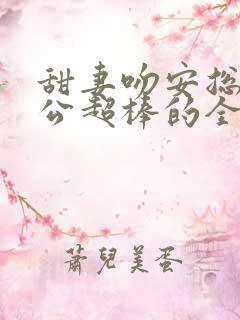 甜妻吻安总裁老公超棒的全文阅读
