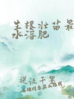 生根壮苗最好的水溶肥