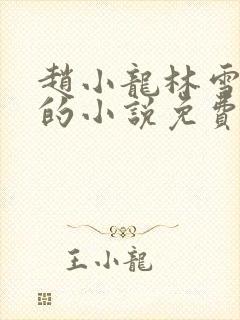 赵小龙林雪小菲的小说免费阅读无弹窗