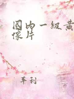 国内一级黄色录像片
