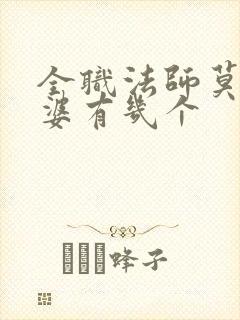 全职法师莫凡老婆有几个