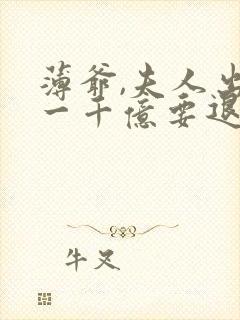 薄爷,夫人出价一千亿要退婚有声书
