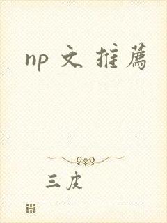 np 文 推荐