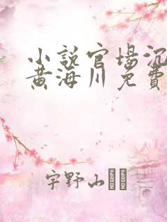 小说官场沉浮录黄海川免费阅读