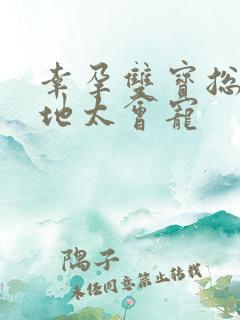 幸孕双宝总裁爹地太会宠