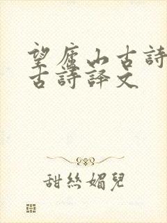 望庐山古诗瀑布古诗译文