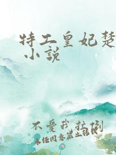 特工皇妃楚乔传 小说