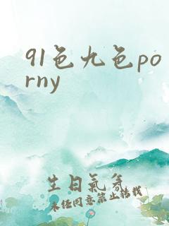91色九色porny