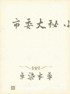 市委大秘 小说