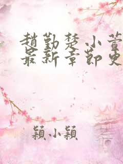赵勤楚小萱小说最新章节更新时间