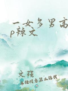 一女多男高hnp辣文