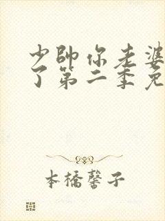 少帅你老婆又跑了第二季免费全集