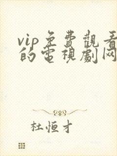 vip免费观看的电视剧网站大全