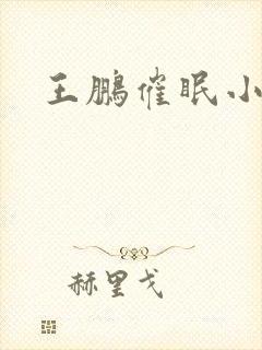 王鹏催眠小说