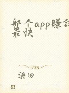 哪个app赚钱最快