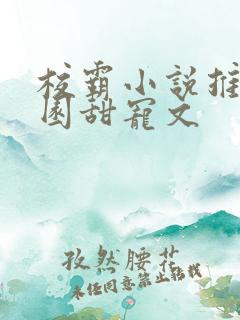 校霸小说推荐校园甜宠文