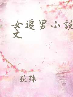 女追男小说甜宠文 女追男小说甜宠文